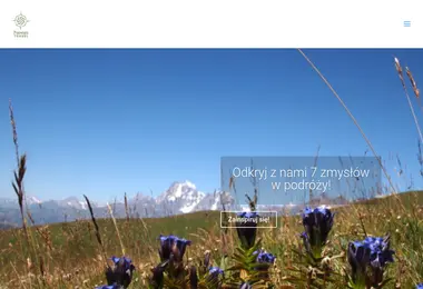 Screenshot of 7sensestravel.ge