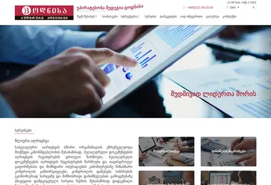 Screenshot of aafintegrity.ge