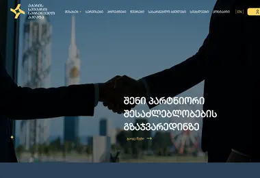 Screenshot of acci.ge