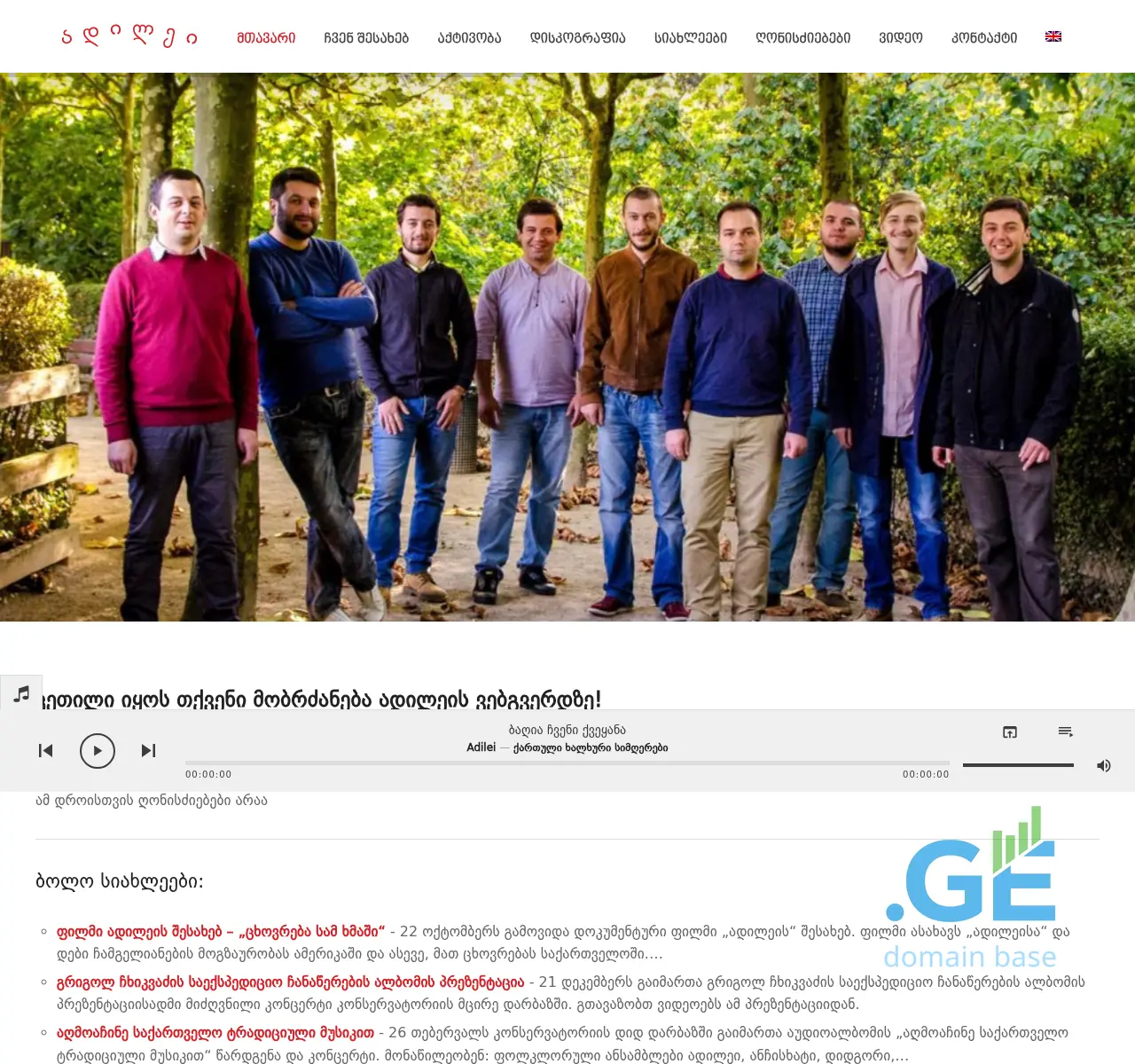 Screenshot of the site adilei.ge at 2025-11-22