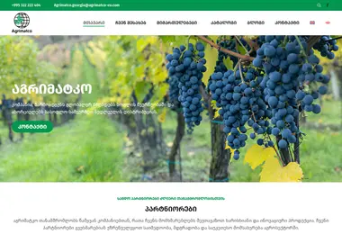Screenshot of agrimatco.ge