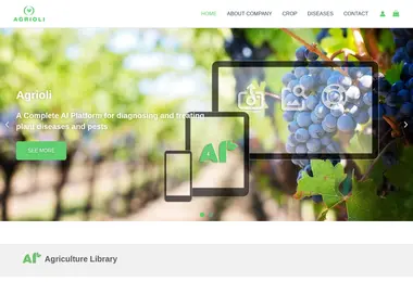 სურათი 08.12.2025-დან