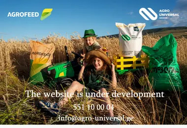 Preview from 08.12.2025