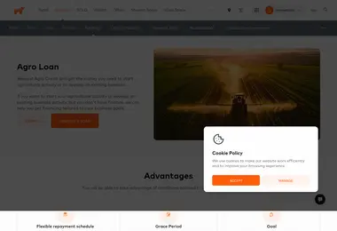 Screenshot of agrobank.ge