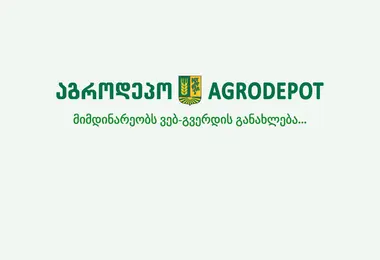 სურათი 08.12.2025-დან