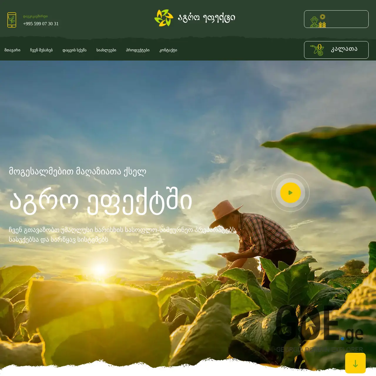 Screenshot of the site agroeffect.ge at 2025-12-08