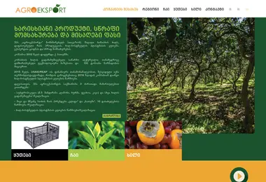 Скриншот agroeksport.ge