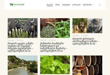 Preview from 07.12.2025