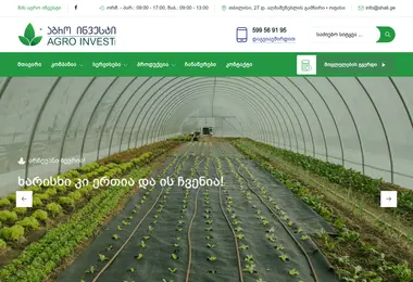 Screenshot of agroinvest.ge