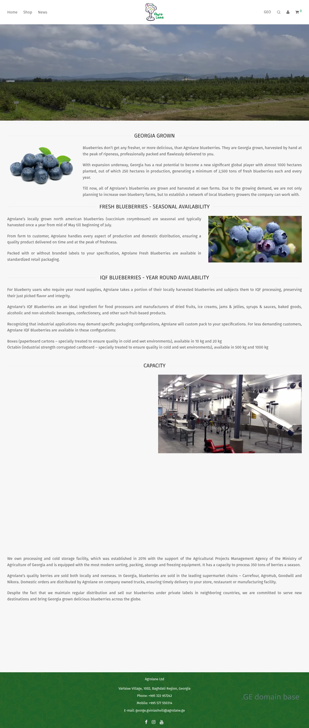 Screenshot of the site agrolane.ge