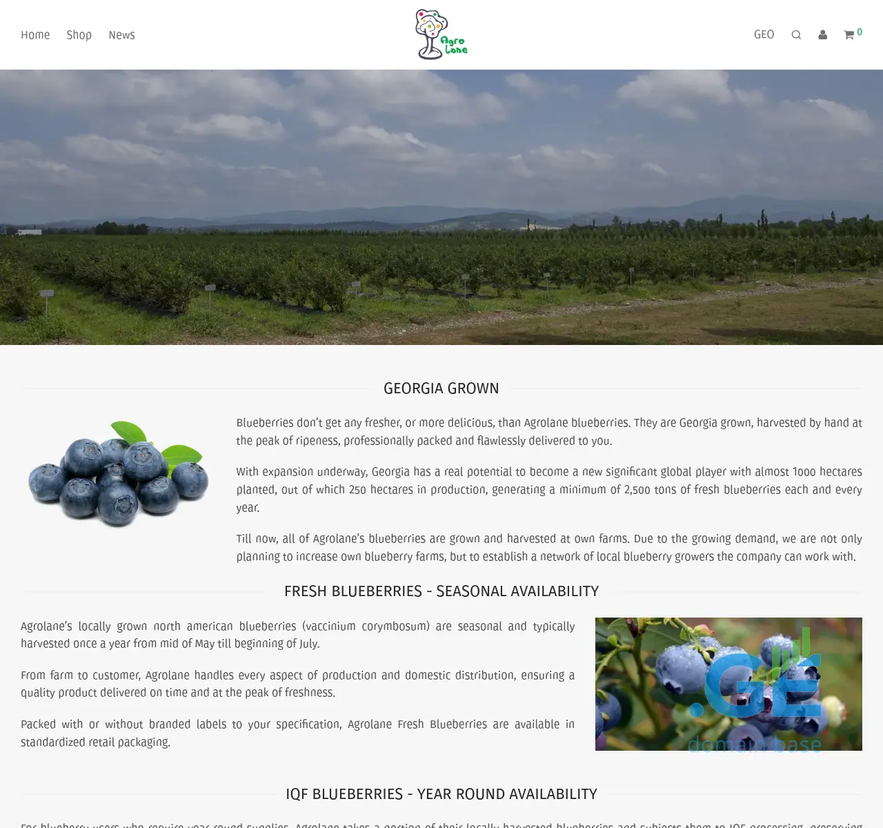 Screenshot of the site agrolane.ge at 2025-11-23
