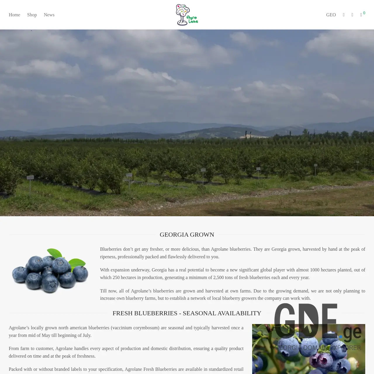 Screenshot of the site agrolane.ge at 2025-12-15