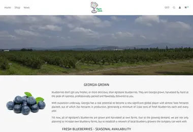 Screenshot of agrolane.ge