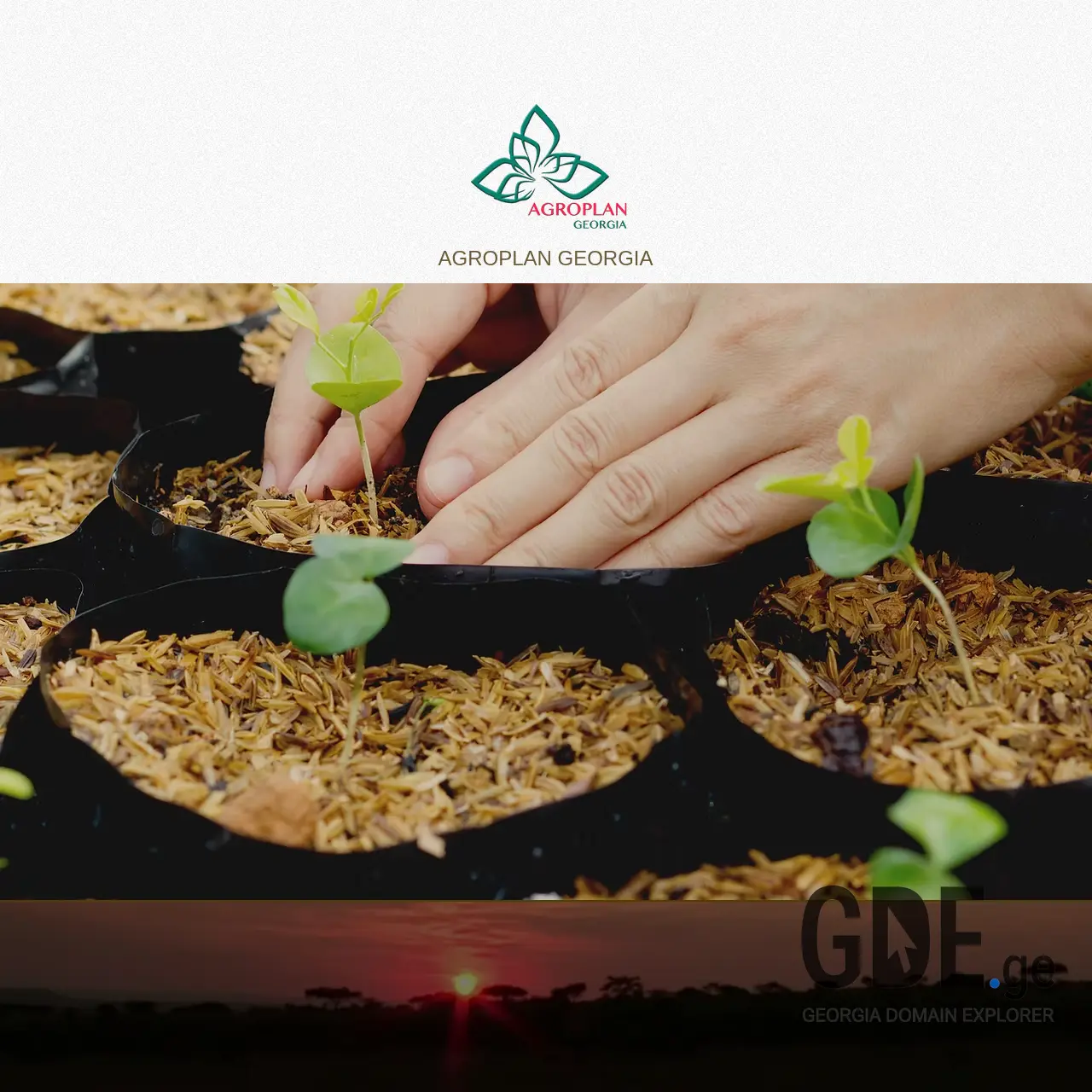 Screenshot of the site agroplan.ge at 2025-12-15