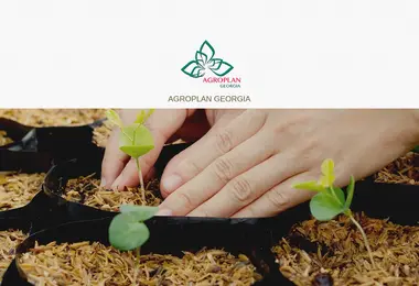 Preview from 15.12.2025