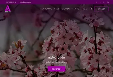 სურათი 03.12.2025-დან