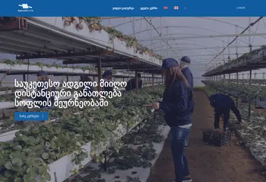 Screenshot of agroskills.ge