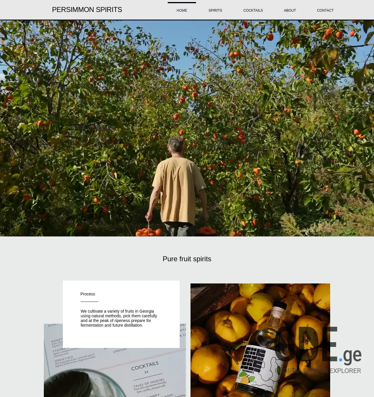 Screenshot of the site agrostore.ge at 2025-11-29