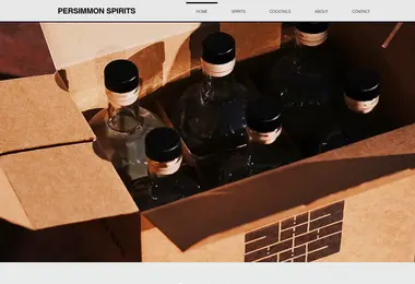 Screenshot of agrostore.ge