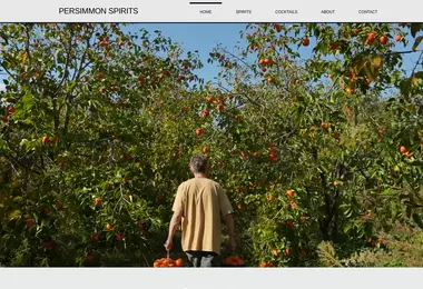 agrostore.ge-ის ეკრანის სურათი