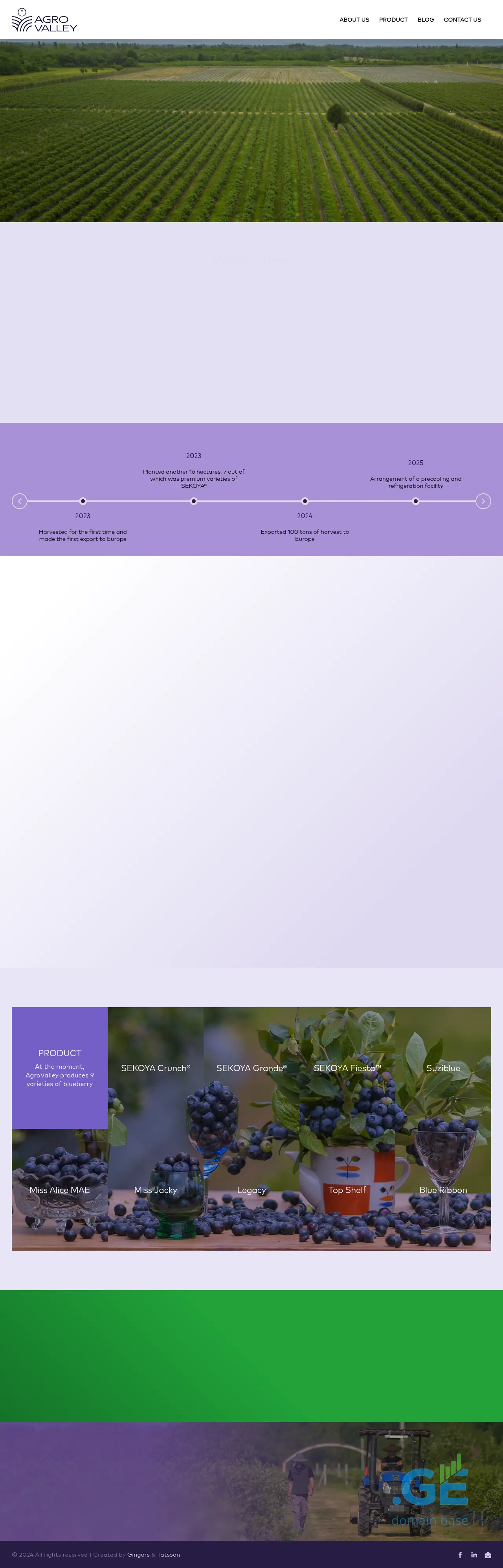 Screenshot of the site agrovalley.ge at 2025-10-03