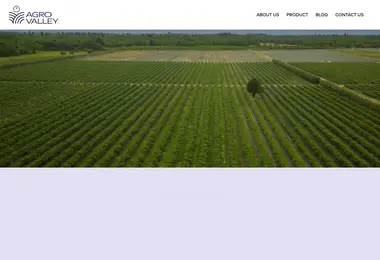 Скриншот agrovalley.ge