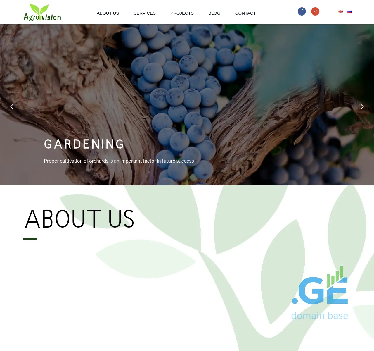 Screenshot of the site agrovision.ge at 2025-11-23
