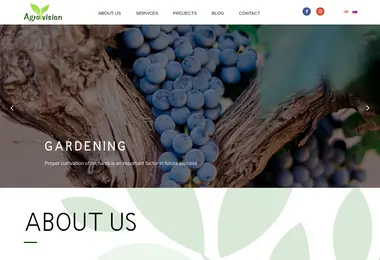 Скриншот agrovision.ge