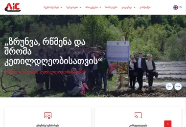 Скриншот aic.org.ge