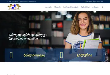 Screenshot of akademiazug.ge