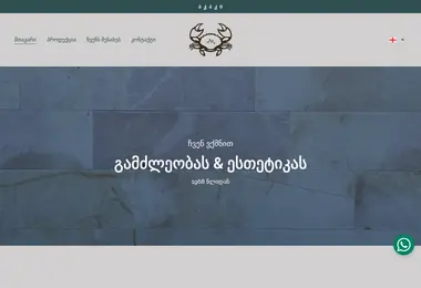 akakico.ge-ის ეკრანის სურათი