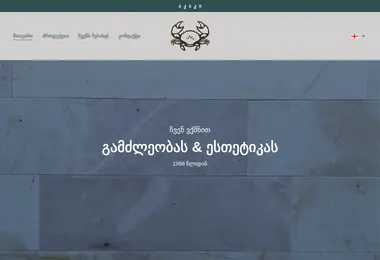 Screenshot of akakico.ge