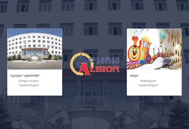 Screenshot of albion.ge