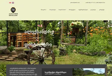 Screenshot of alexander.com.ge