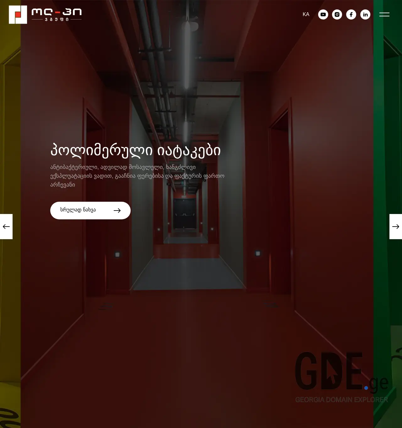 Screenshot of the site all-p.ge at 2025-11-30