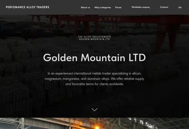 Скриншот alloysolutions.ge