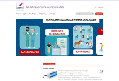 Скриншот amagi.edu.ge