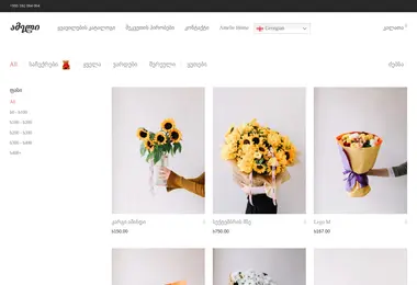 Screenshot of amelie.ge