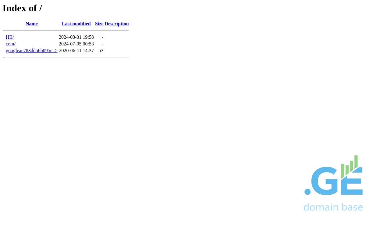 Screenshot of the site americanortho.ge