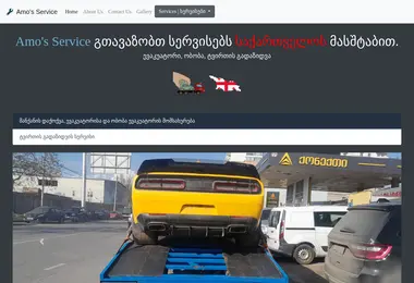 Screenshot of amosservice.ge