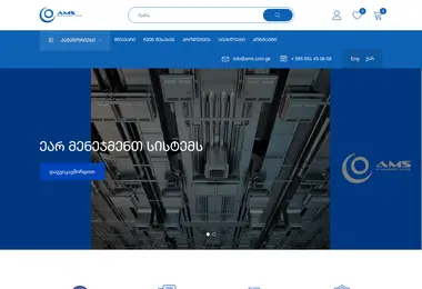 ams.com.ge-ის ეკრანის სურათი