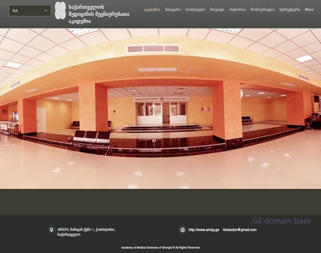 Screenshot of the site amsg.ge