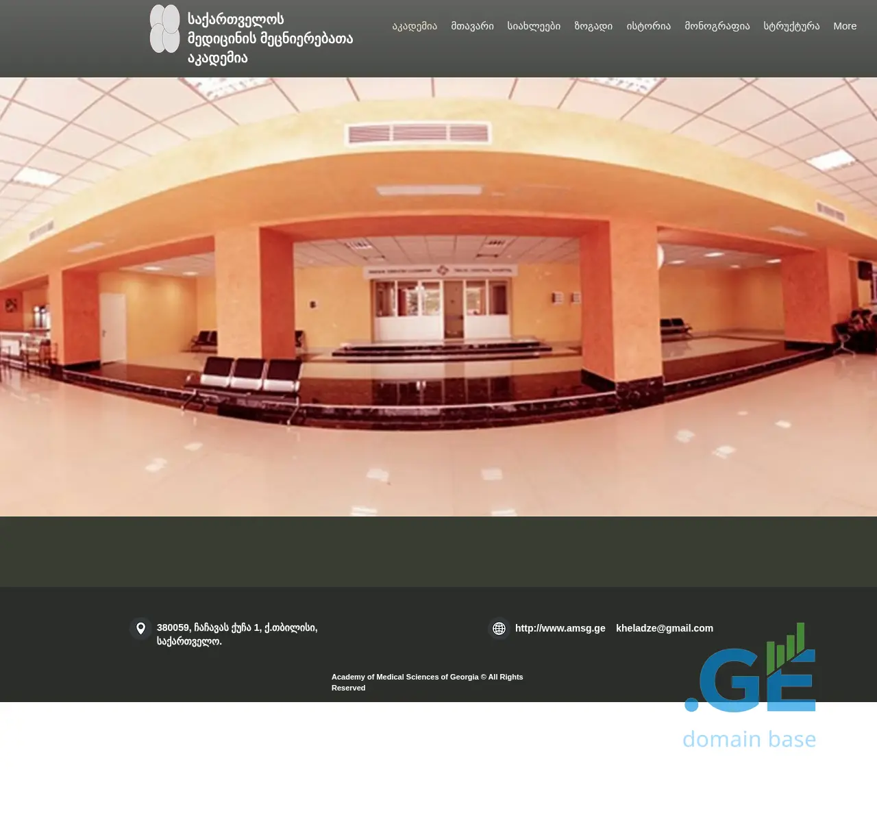 Screenshot of the site amsg.ge at 2025-11-23