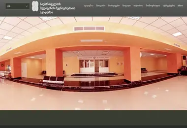 Screenshot of amsg.ge