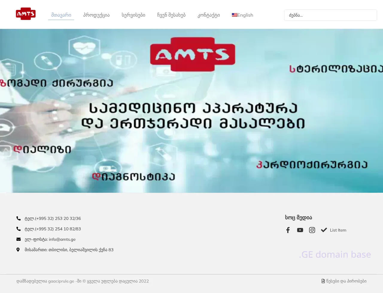 Screenshot of the site amts.ge