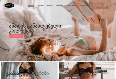 Скриншот anate.ge