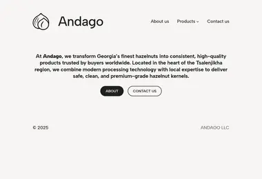 Screenshot of andago.ge