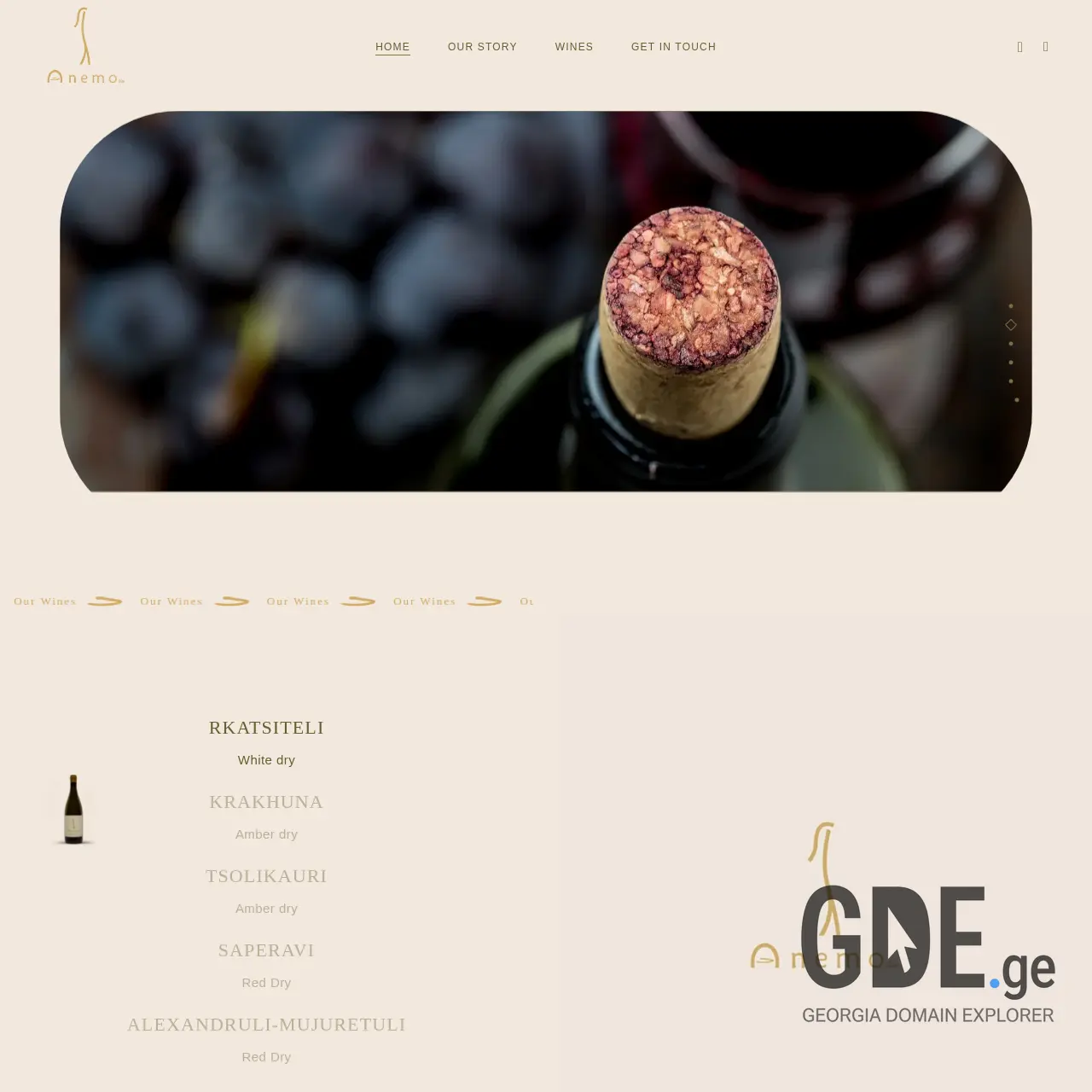 Screenshot of the site anemo.ge at 2025-12-08