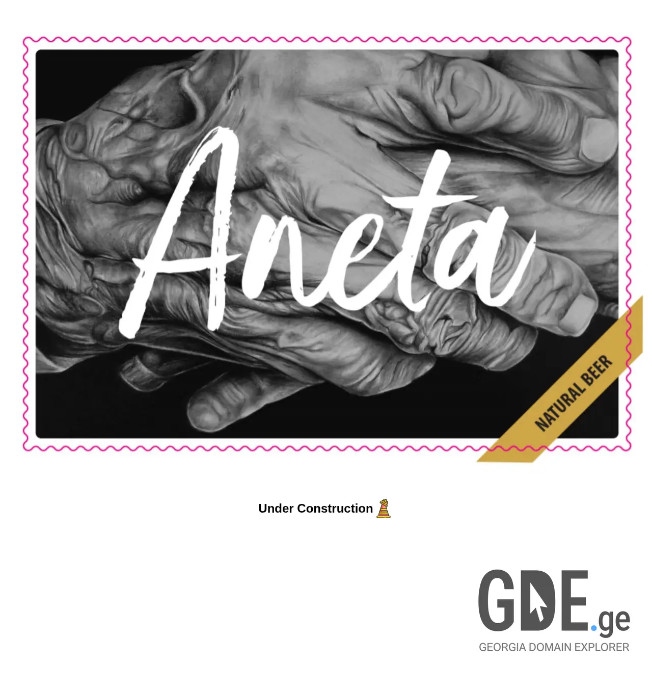 Screenshot of the site aneta.ge at 2025-11-29