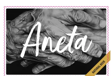 Screenshot of aneta.ge